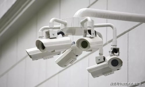 嘉兴桐乡碧桂园繁华里 项目信息与官方联系方式指南